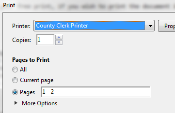 Print Dialog